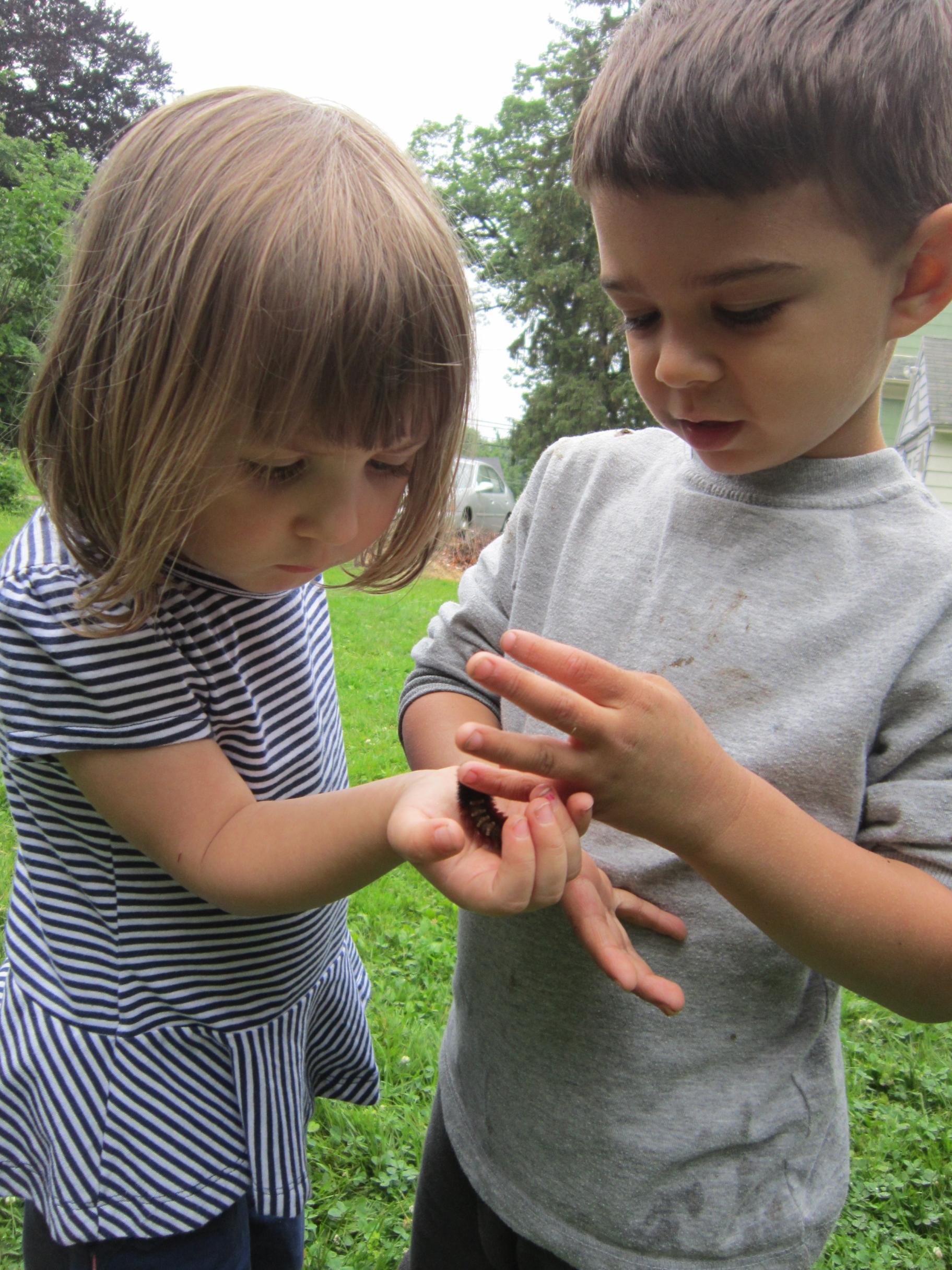 a young boy gives a big, fuzzy caterpillar to a young girl